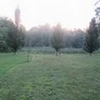 Mobile Home Lot for Sale: 1.45 acre Lot