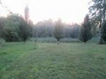 Thumbnail of mobile home lot