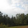 Mobile Home Lot for Sale: 1.46 acre Lot