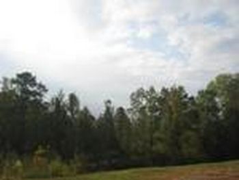 Photo of Mobile Home Lot