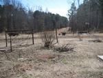 Photo of Mobile Home Lot