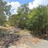 Mobile Home for Sale: Mobile Home