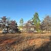 Mobile Home for Sale: 3 Bed 2 Bath 2014 Mobile Home