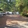 RV Lot for Rent: RV Lot For Rent at Lost Lake RV Resort, Olympia, WA