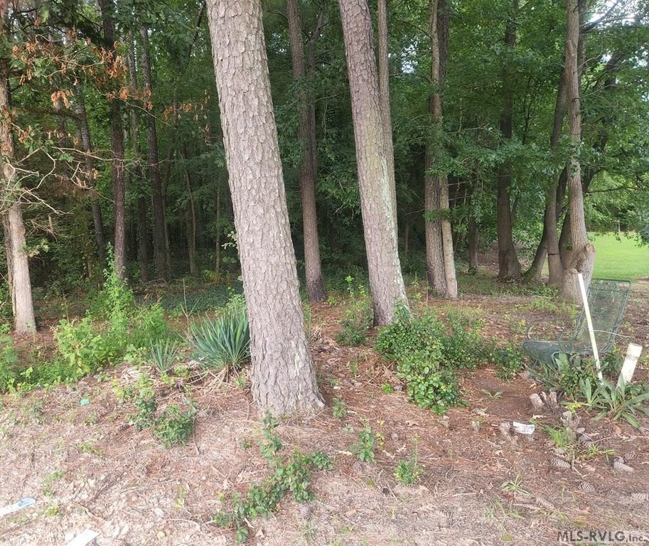 Photo of Mobile Home Lot