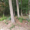 Photo of Mobile Home Lot