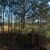 Mobile Home for Sale: 2002 Mobile Home