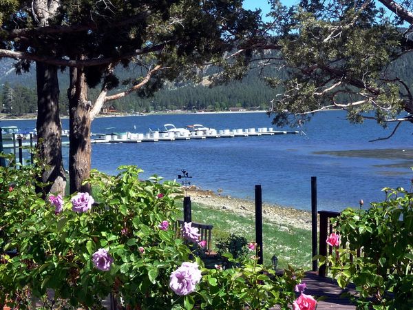 Photo of RV Lot #154