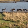 RV Park for Sale: Chinook RV Park, Waldport, OR