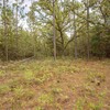 Mobile Home for Sale: 4 Bed 3 Bath 2022 Mobile Home