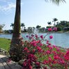 RV Lot for Sale: Your own slice of Paradise, Naples, FL