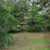 Mobile Home for Sale: 3 Bed 2 Bath 1969 Mobile Home