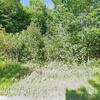 Mobile Home for Sale: 4 Bed 1972 Mobile Home