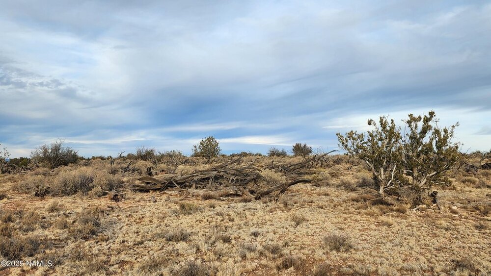 Photo of Mobile Home Lot