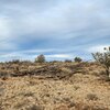 Photo of Mobile Home Lot
