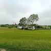 Mobile Home for Sale: 3 Bed 2 Bath 1999 Mobile Home