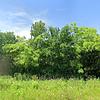 Mobile Home for Sale: 2008 Mobile Home