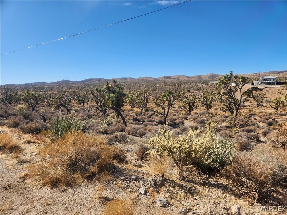 Photo of Mobile Home Lot