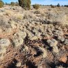 Photo of Mobile Home Lot