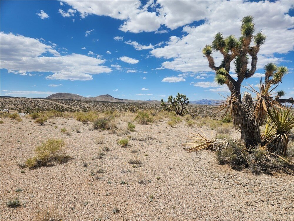 Photo of Mobile Home Lot