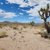 Photo of Mobile Home Lot