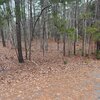 Mobile Home Lot for Sale: Residential Lot-Restricted - Littleton, NC, Littleton, NC