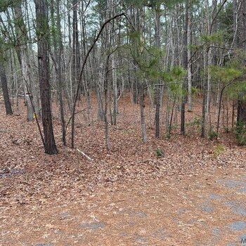 Photo of Mobile Home Lot