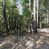 Mobile Home for Sale: Mobile Home