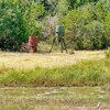 Mobile Home for Sale: Single Family, Mobile Home-Double - Mountain Home, TX, Mountain Home, TX