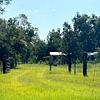 Mobile Home for Sale: 3 Bed 2 Bath 1999 Mobile Home
