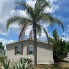 Mobile Home for Sale: Mobile Home,Low-rise, Mobile/Manufactured - Davenport, FL, Davenport, FL