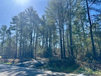 Photo of GREAT LOCATION! Spacious Lot Ready for a New Home!