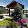 RV Lot for Sale: Pull Thru, Mountain Views, Shed & Pavillion! Lot 130, Blairsville, GA