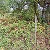 Mobile Home for Sale: 1982 Mobile Home
