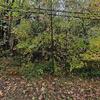 Mobile Home for Sale: 5 Bed 4 Bath 2002 Mobile Home