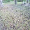 Mobile Home Lot for Sale: MO, IRONDALE - Land for sale., Irondale, MO