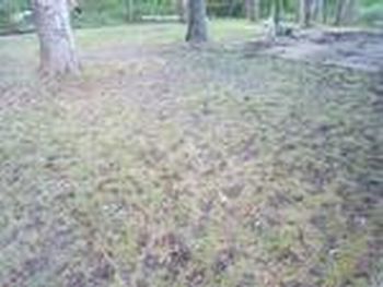 Photo of Mobile Home Lot