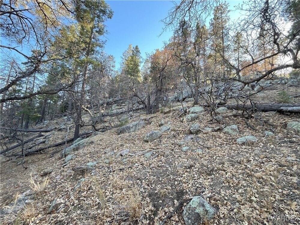 Photo of Mobile Home Lot