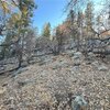 Photo of Mobile Home Lot