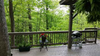 Greenspace View