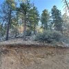 Photo of Mobile Home Lot