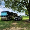 RV for Sale: 2017 ALLEGRO RED 38QBA