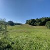 Mobile Home for Sale: Singlewide - Robbinsville (Graham), NC, Robbinsville (Graham), NC