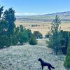Photo of Mobile Home Lot