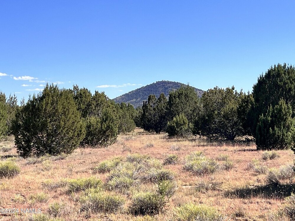 Photo of Mobile Home Lot