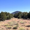 Photo of Mobile Home Lot