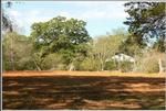 Photo of Mobile Home Lot
