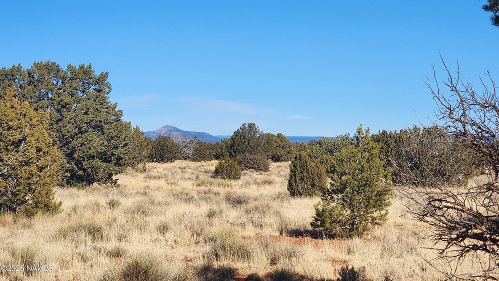 Photo of Mobile Home Lot