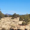 Photo of Mobile Home Lot