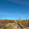 Photo of Mobile Home Lot